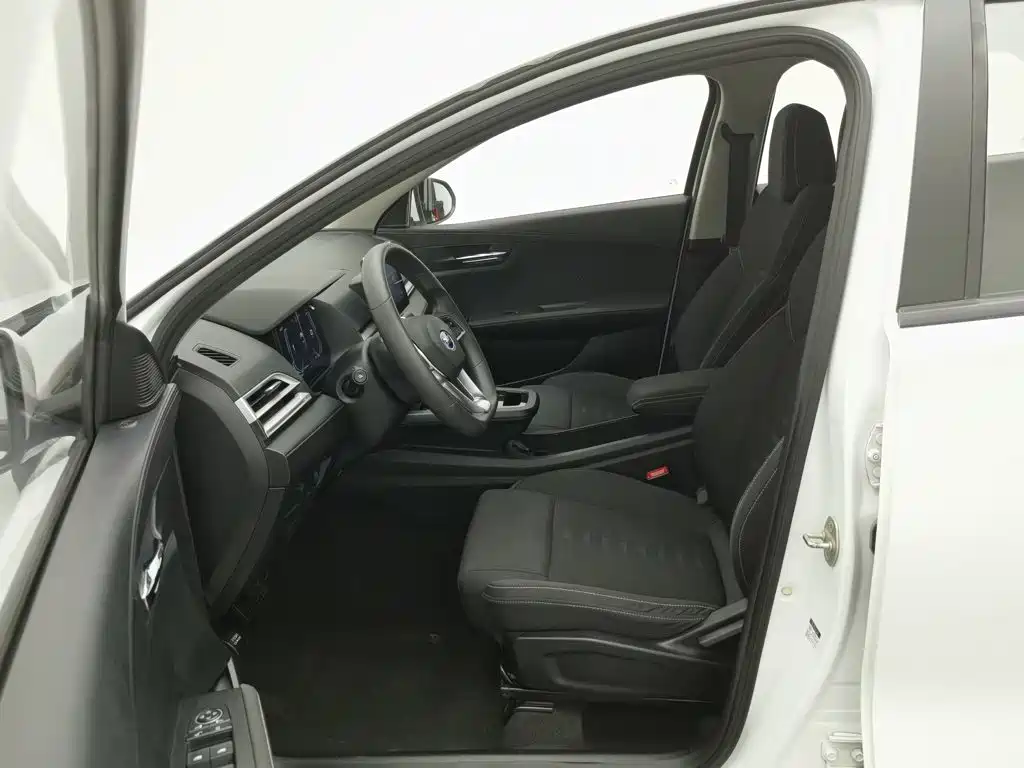 BYD e2 — миниатюра 10