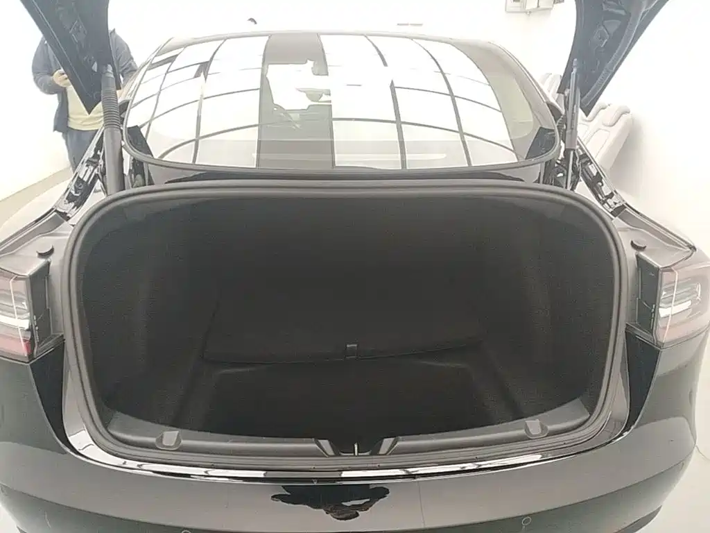 Tesla Model 3 — миниатюра 19