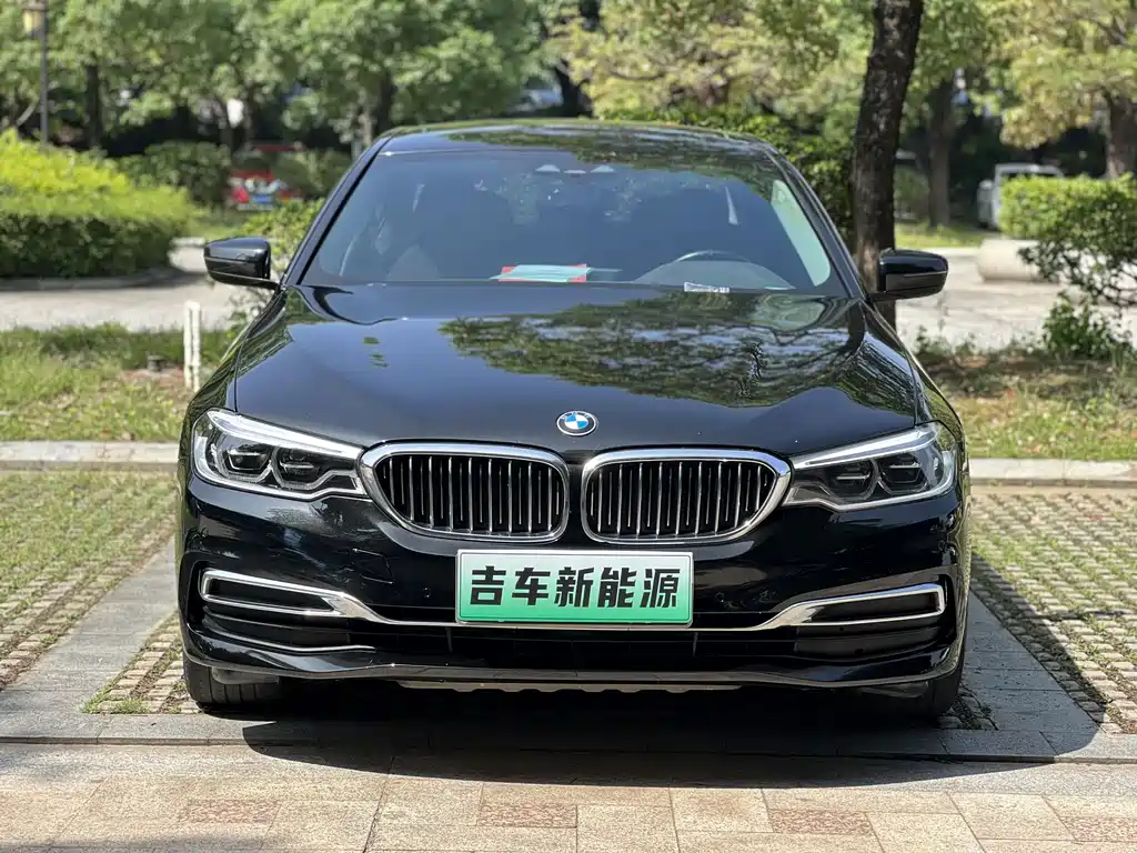 BMW 5 Series 5 2020 530Le Luxury