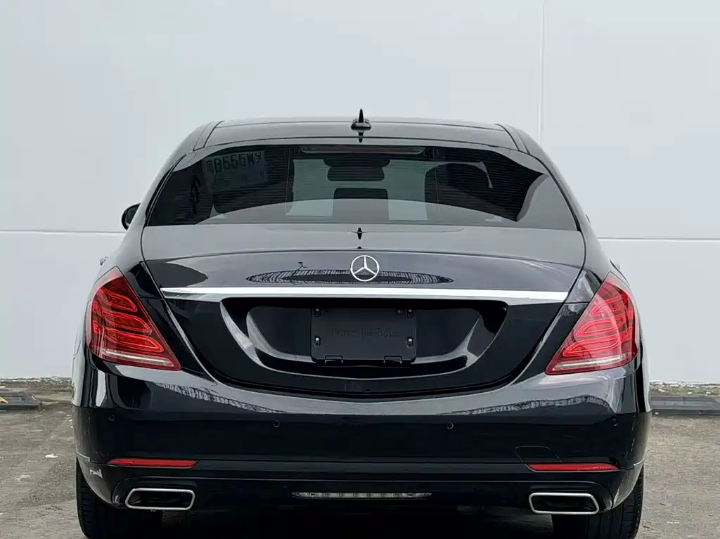 Mercedes-Benz S-Class S 320 L Luxury Type, фото 14