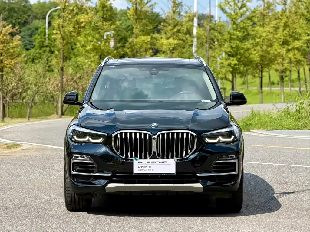 BMW X5 (Import) — миниатюра 2