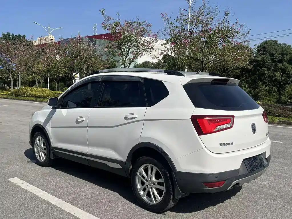 BAOJUN 560
