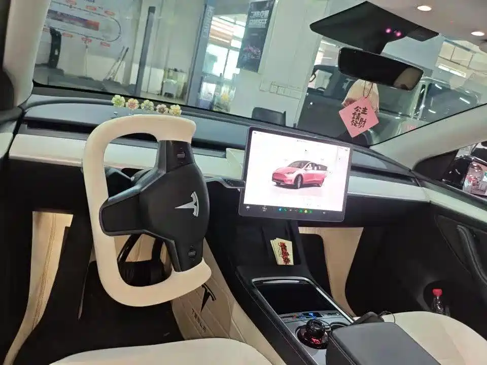 Tesla Model Y — миниатюра 6