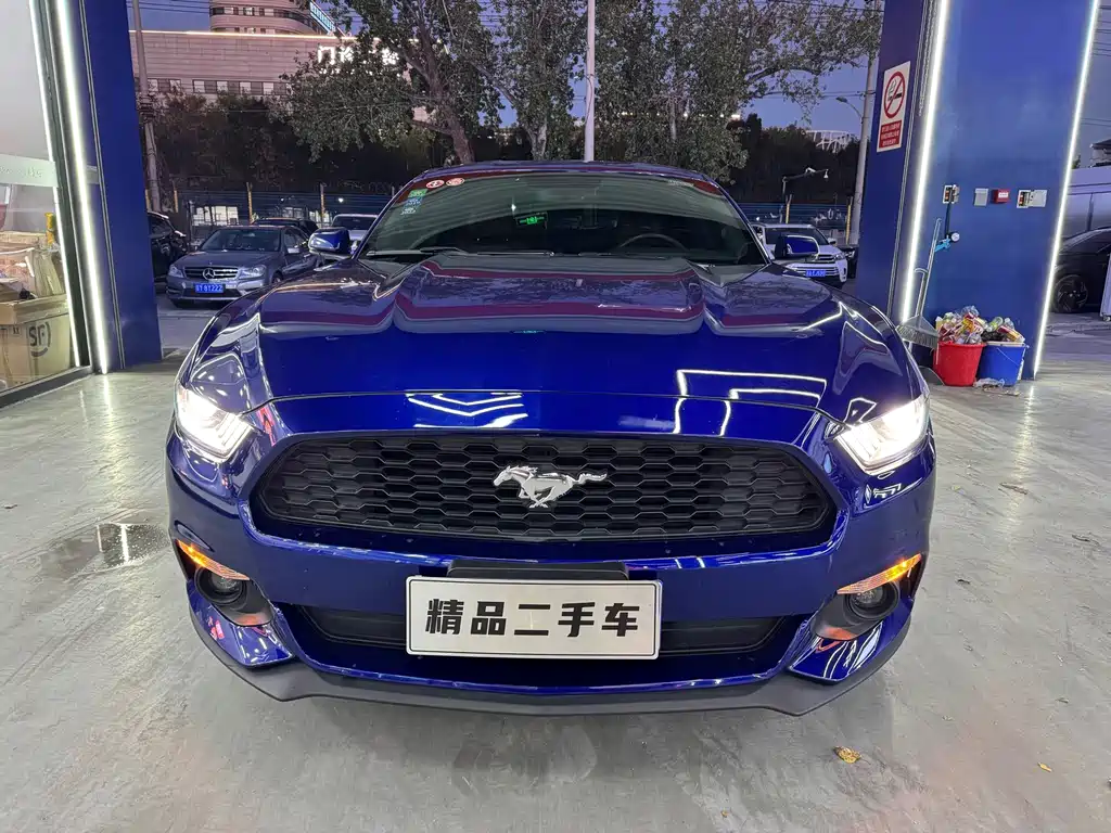 Ford Mustang — миниатюра 2