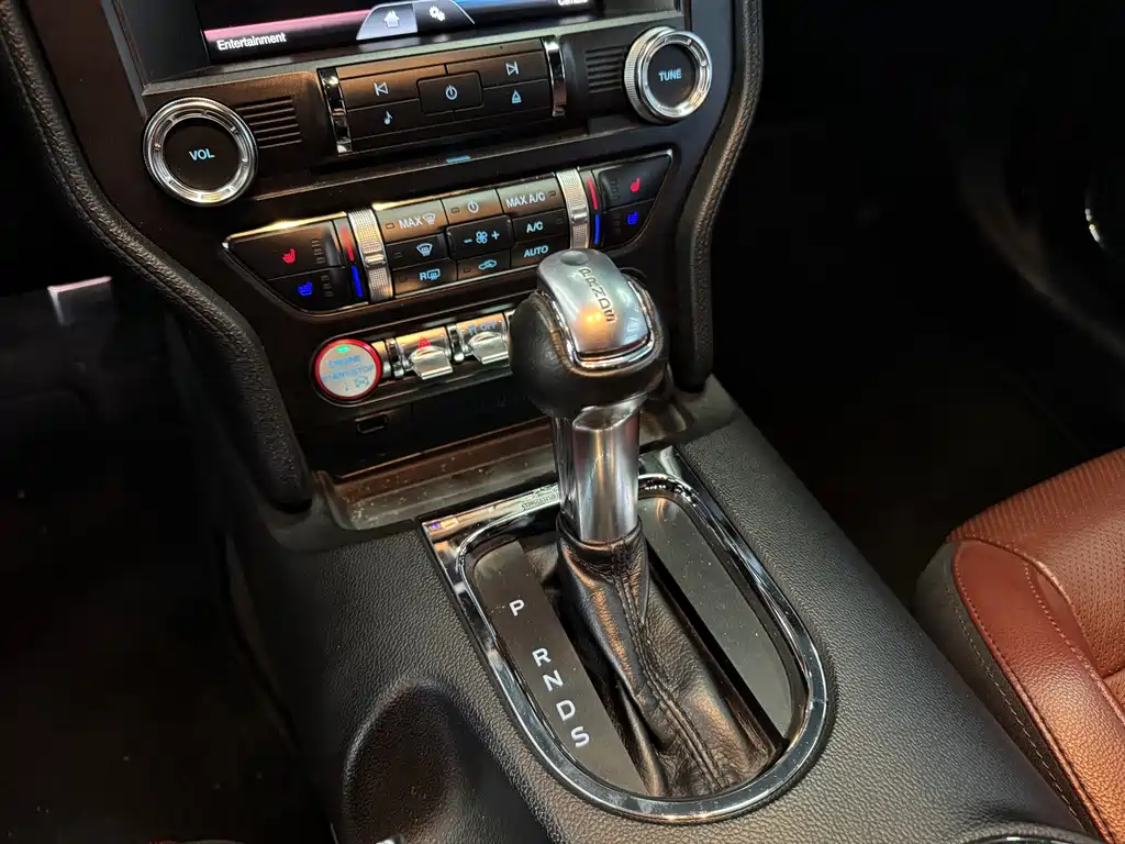 Ford Mustang — миниатюра 12