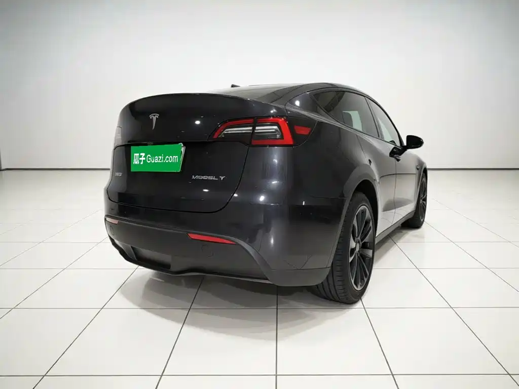 Tesla Model Y — миниатюра 3