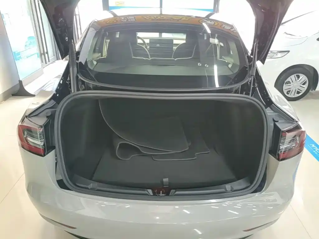 Tesla Model 3 — миниатюра 19