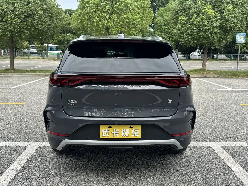 BYD Tang New Energy — миниатюра 6