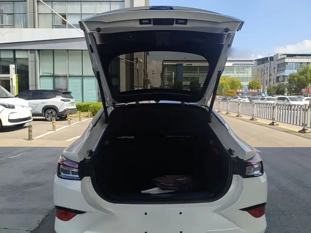 JAC A5 — миниатюра 15