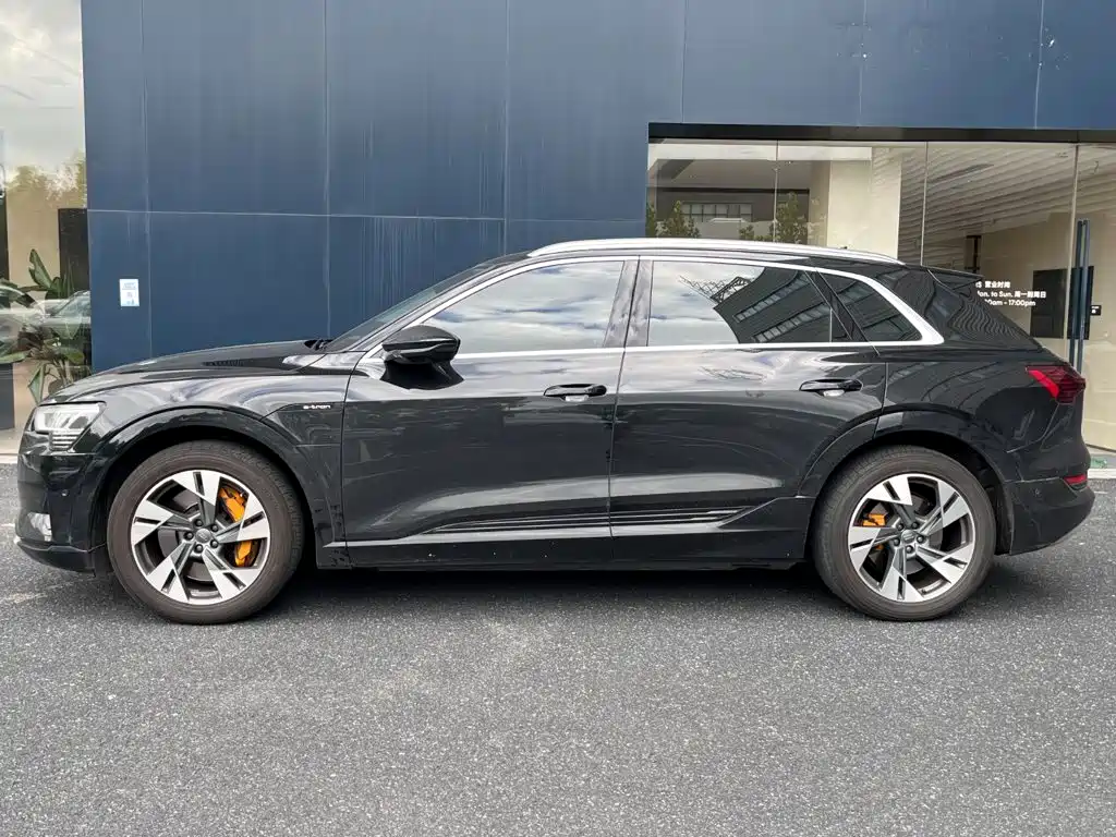 Audi e-tron (Import) — миниатюра 4
