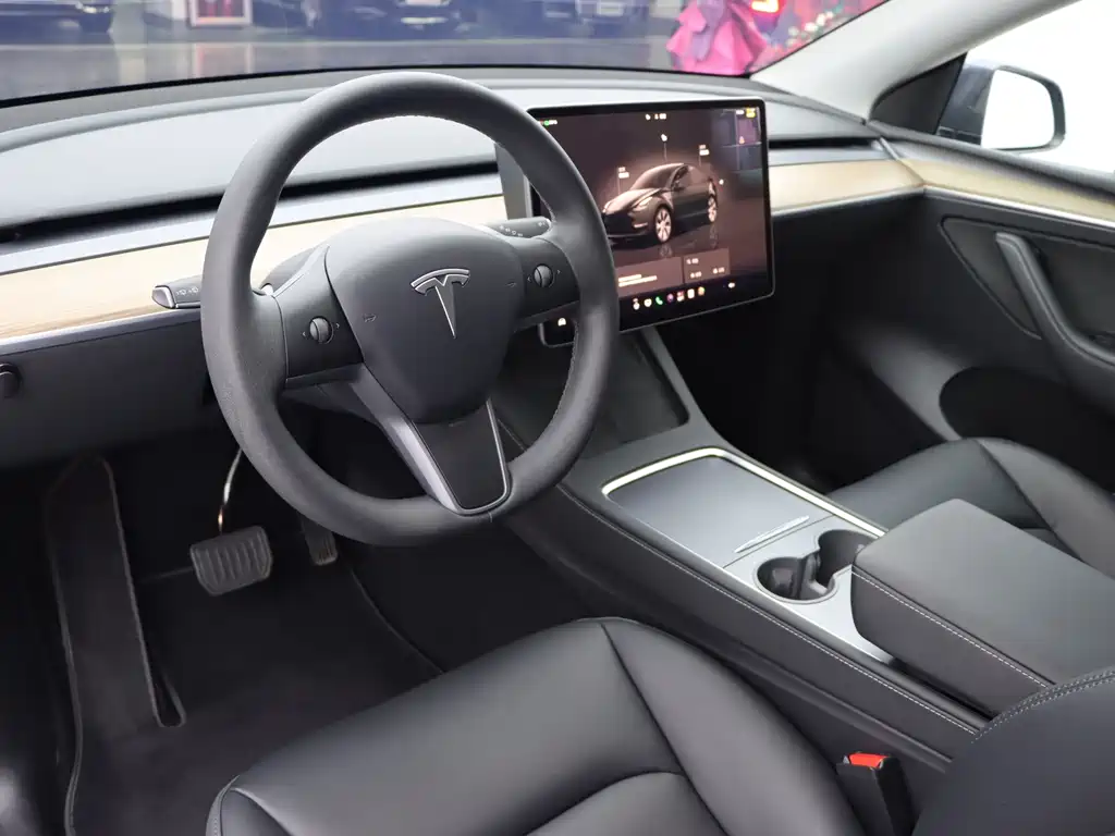 Tesla Model Y — миниатюра 6