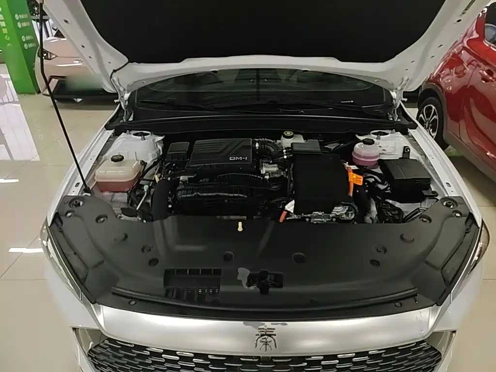 BYD Qin PLUS — миниатюра 20
