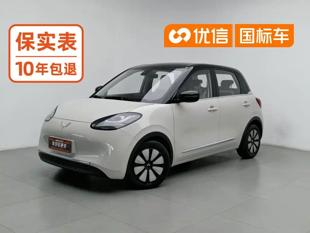 Wuling Bingo