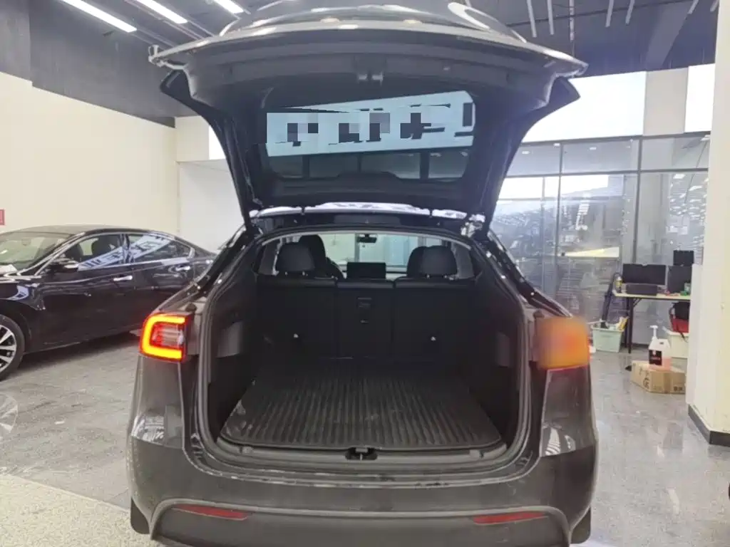 Tesla Model Y — миниатюра 19