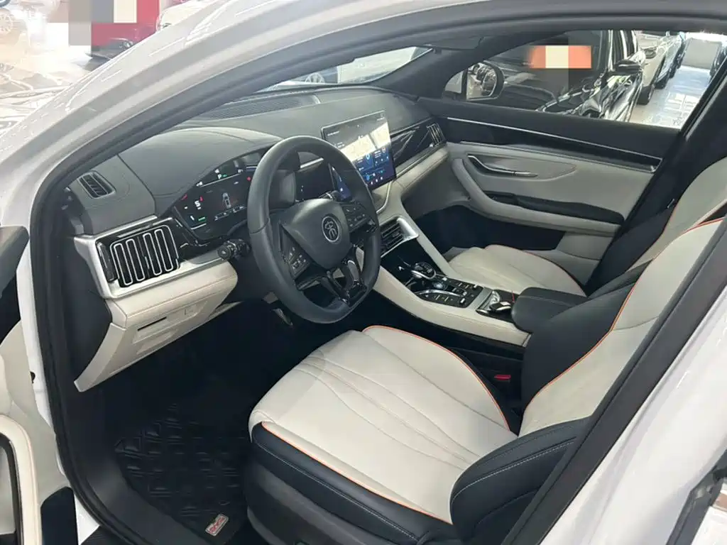 BYD PLUS New Energy — миниатюра 8