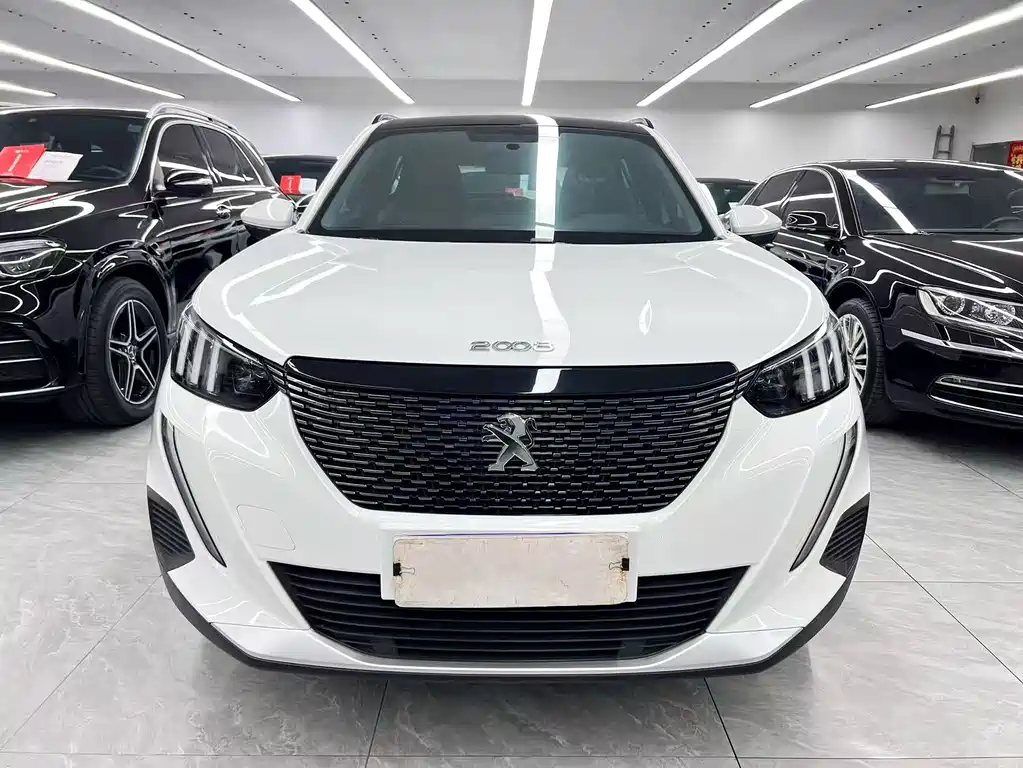 Peugeot 2008 — миниатюра 2