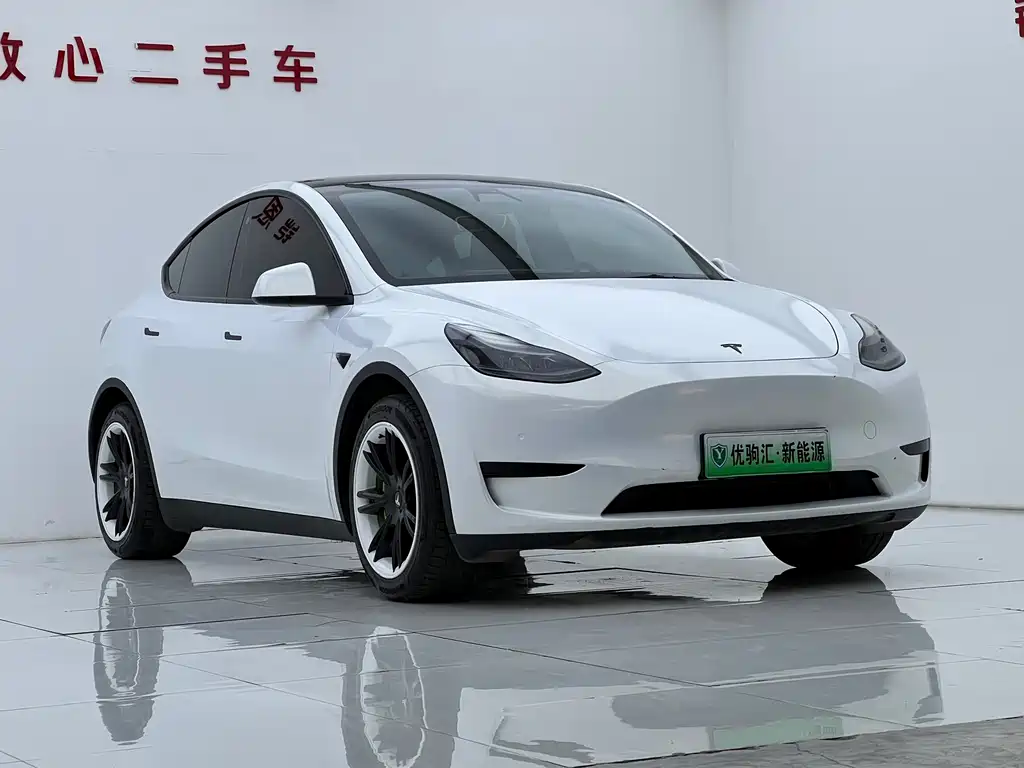 Tesla Model Y — миниатюра 2