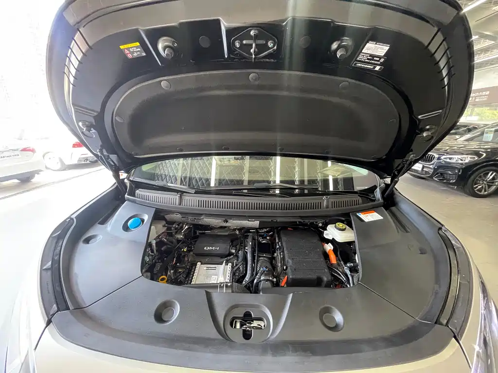 BYD Xia — миниатюра 37