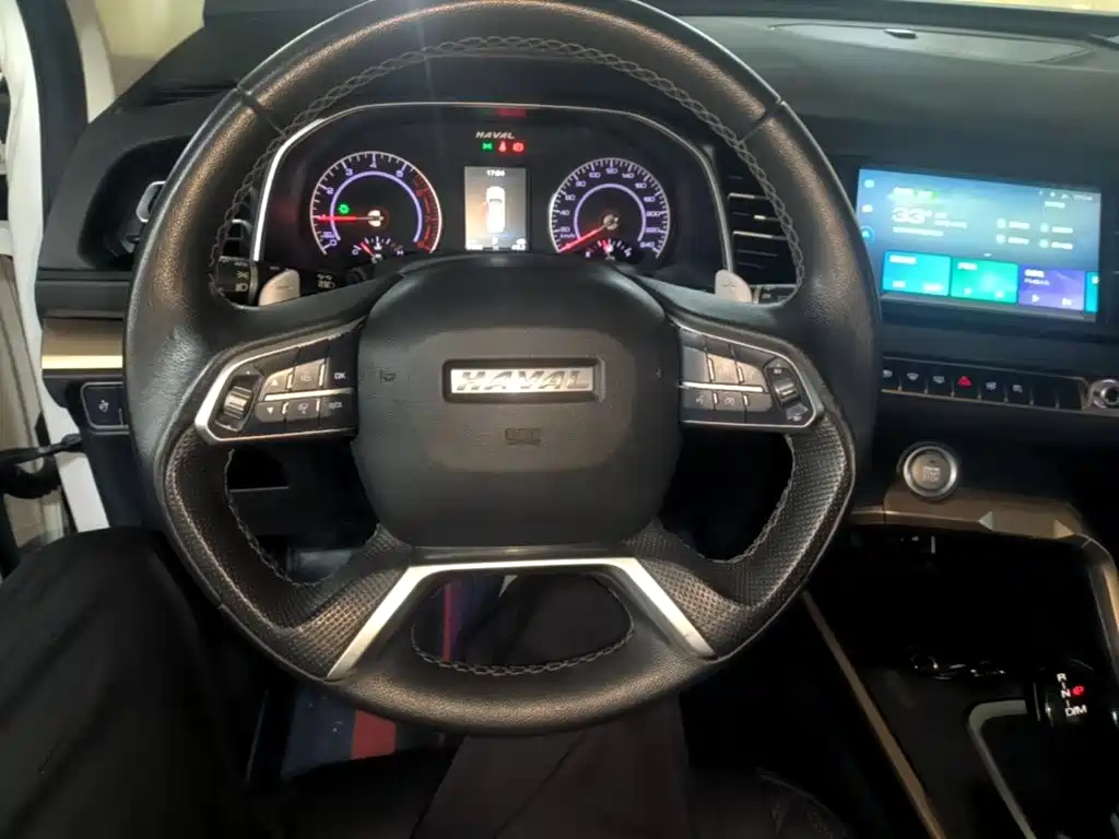 Haval H6 — миниатюра 11