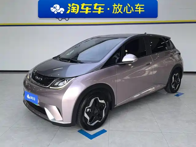 2022 BYD Dolphin
