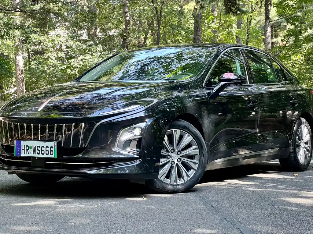 Hongqi Hongqi E-QM5 — миниатюра 2