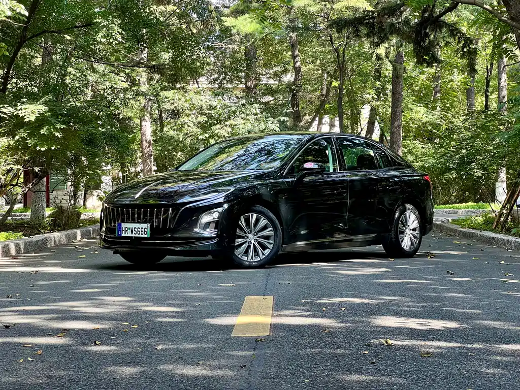Hongqi Hongqi E-QM5