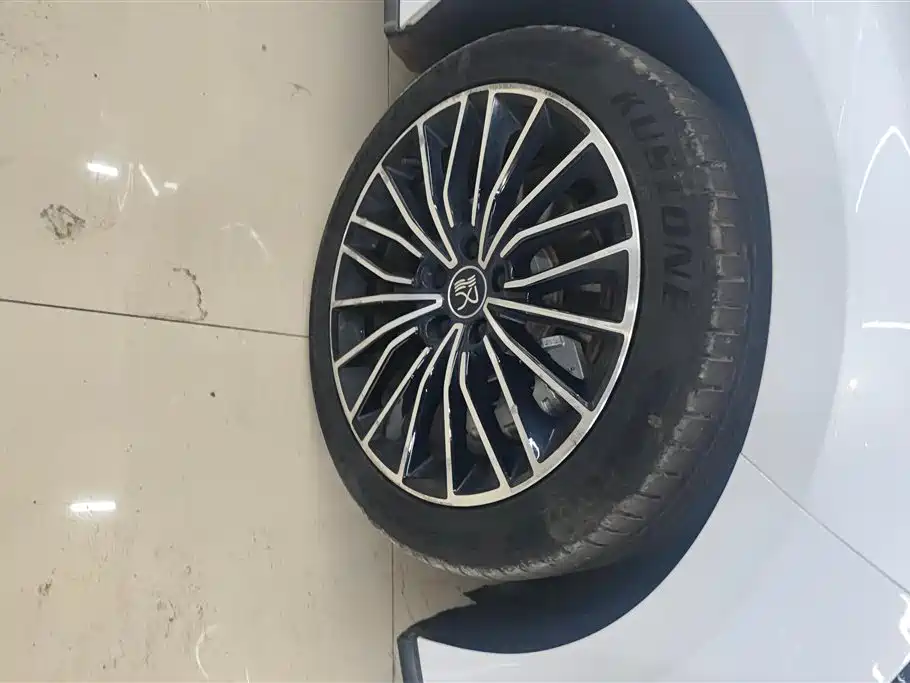 BYD Han 2020 EV Luxury