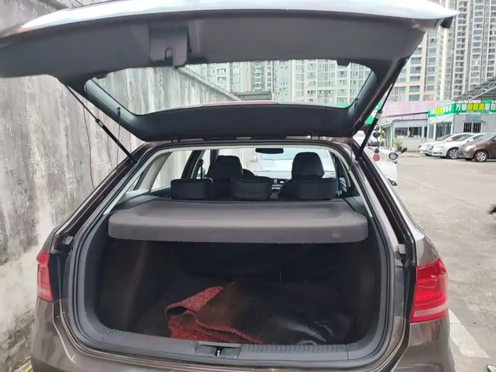 Volkswagen Gran Lavida — миниатюра 19