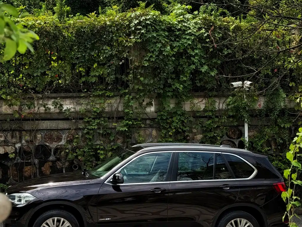BMW X5 (Import) — миниатюра 7