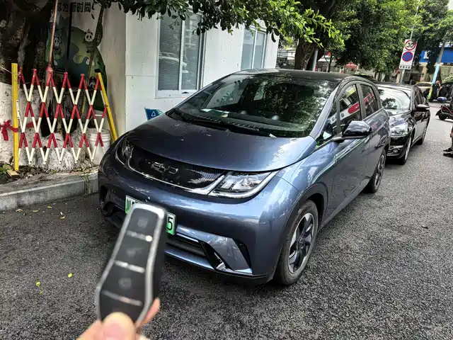 2024 BYD Dolphin