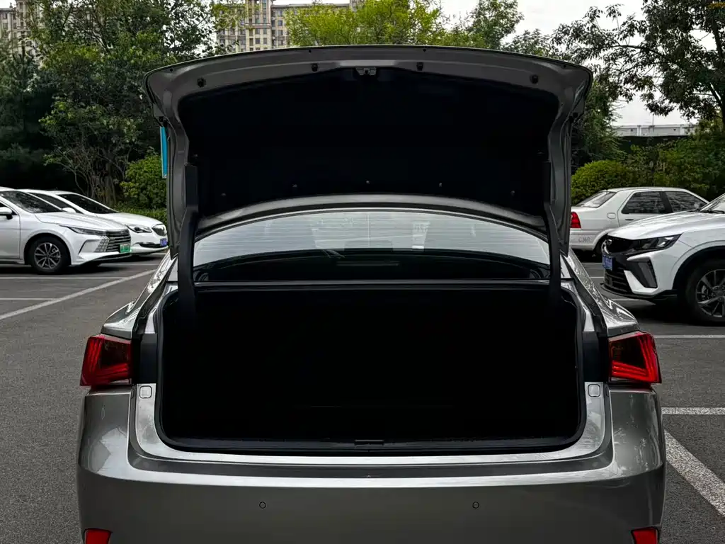 Lexus IS — миниатюра 18