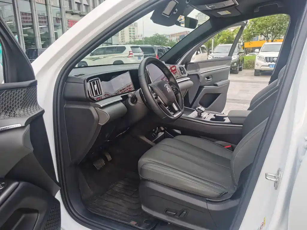BYD Pro New Energy — миниатюра 8