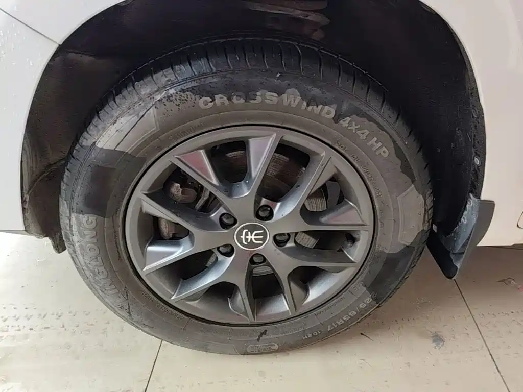 BYD Song — миниатюра 23