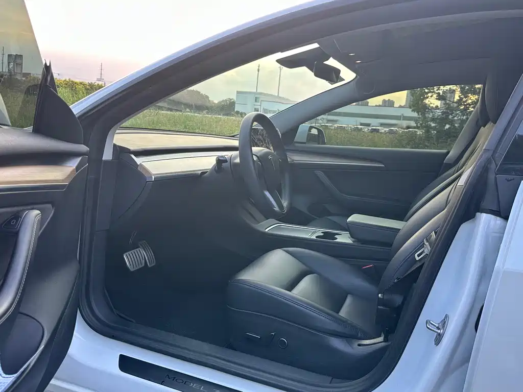 Tesla Model 3 — миниатюра 14