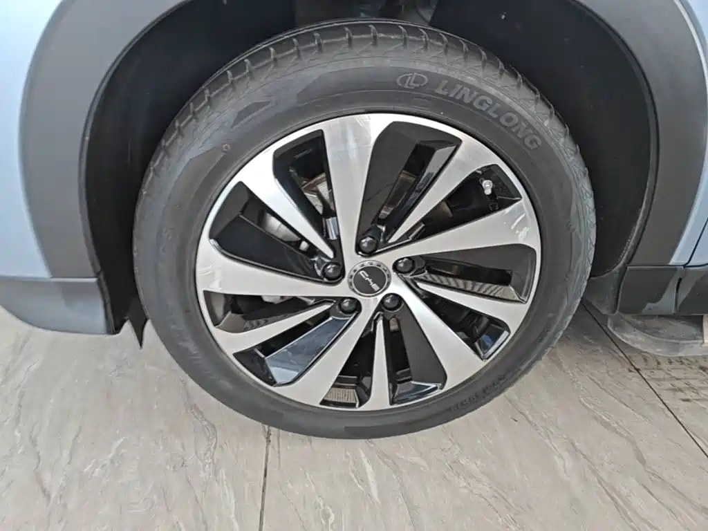 BYD PLUS New Energy — миниатюра 23