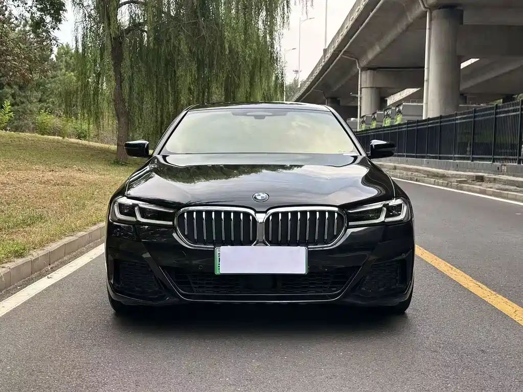 BMW 5 Series New Energy — миниатюра 2