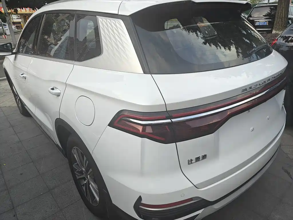 BYD Pro — миниатюра 4