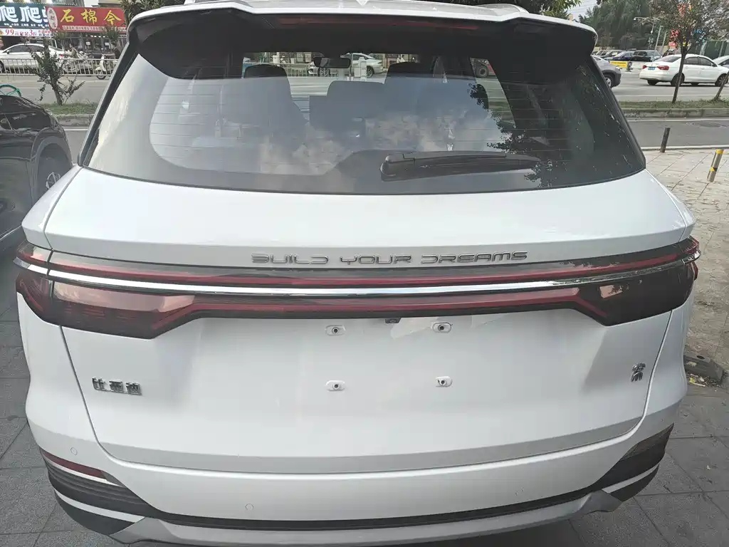 BYD Pro — миниатюра 5