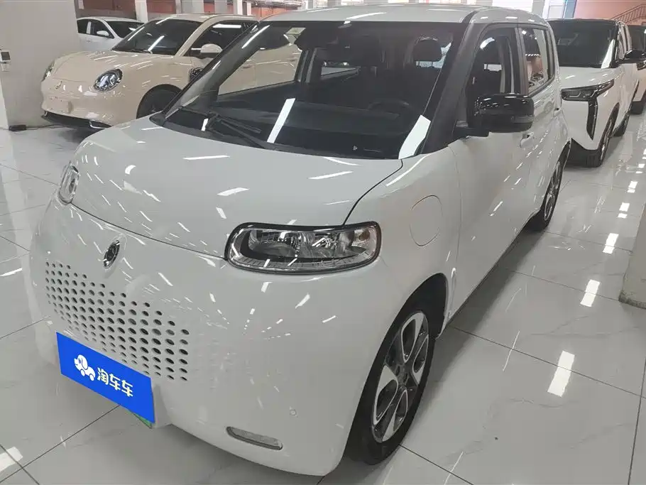 Ora Ora White Cat 2021