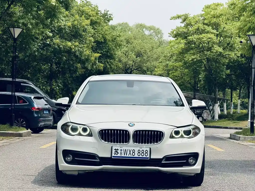 BMW 5 Series 5 2013 525Li Lead