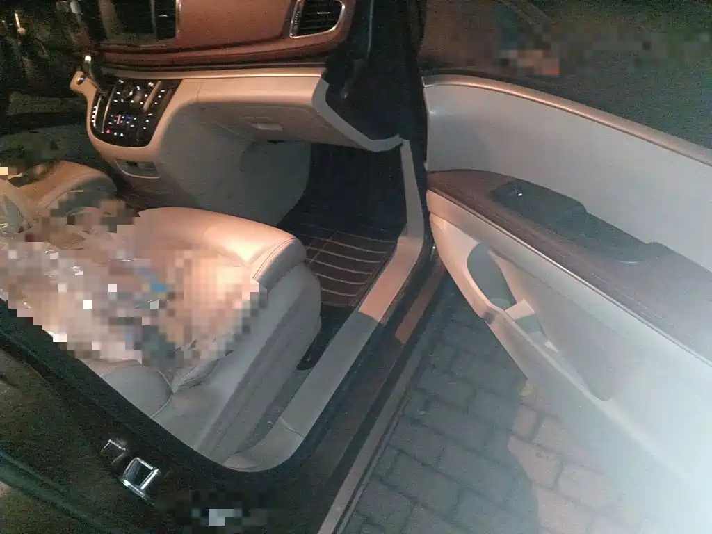 Buick GL8 — миниатюра 19