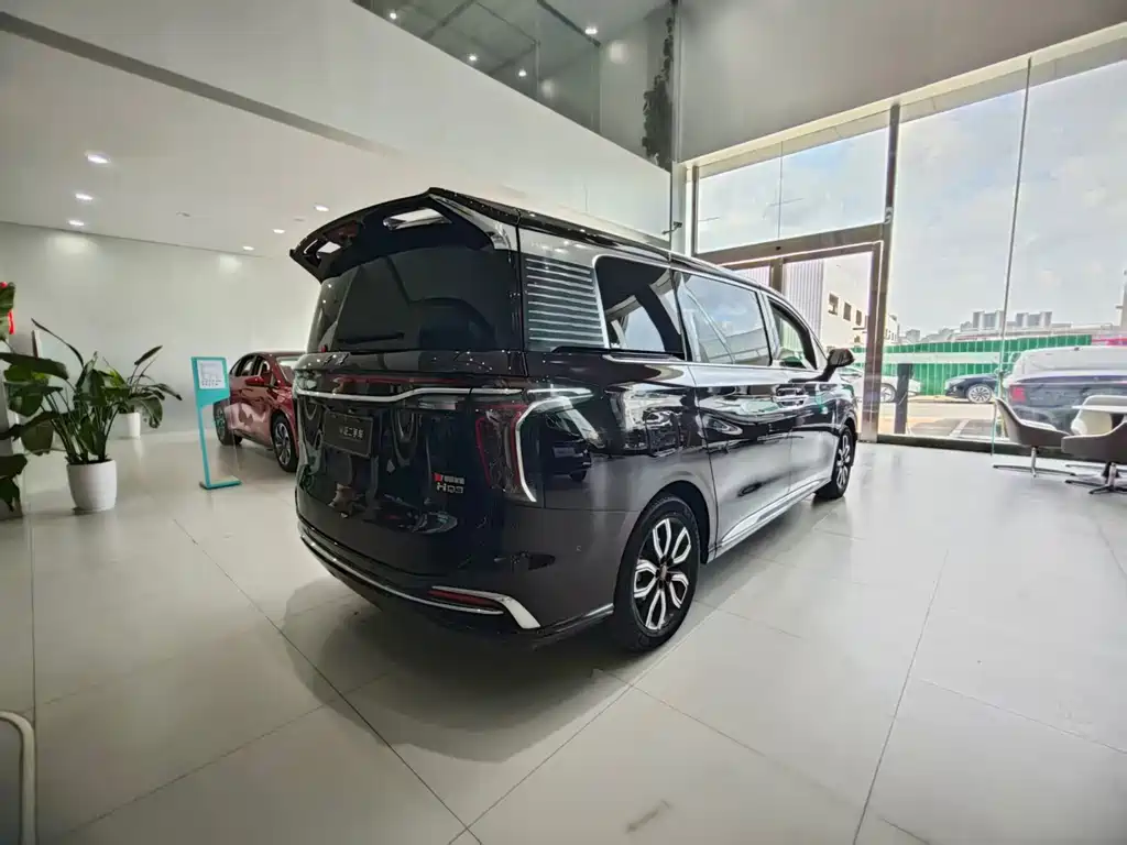 Hongqi Hongqi HQ9 — миниатюра 23