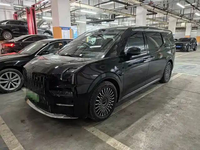 ZEEKR EXTREME KRYPTON 009 2025