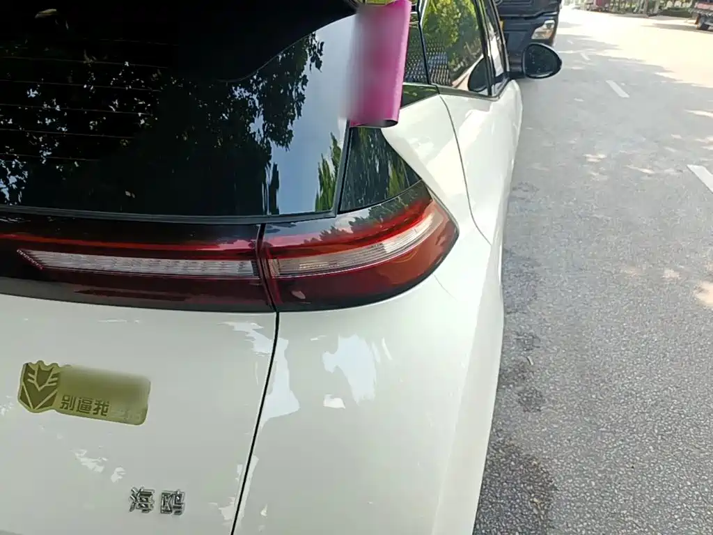 BYD Seagull 2025 305km