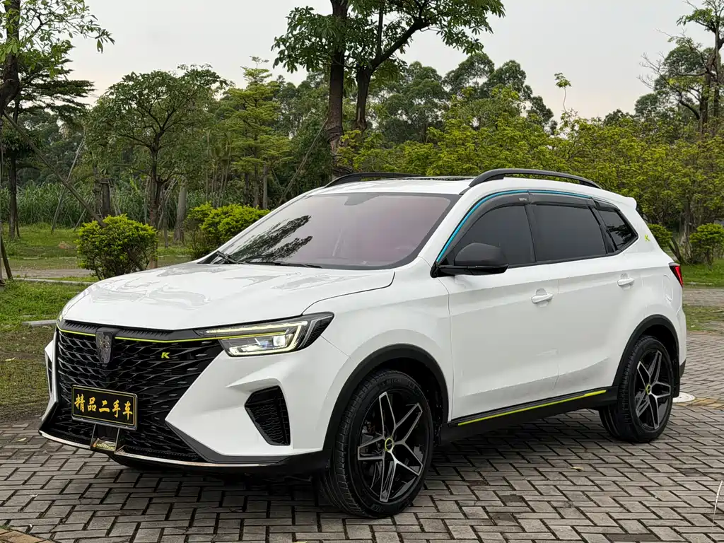 Купить Roewe RX5