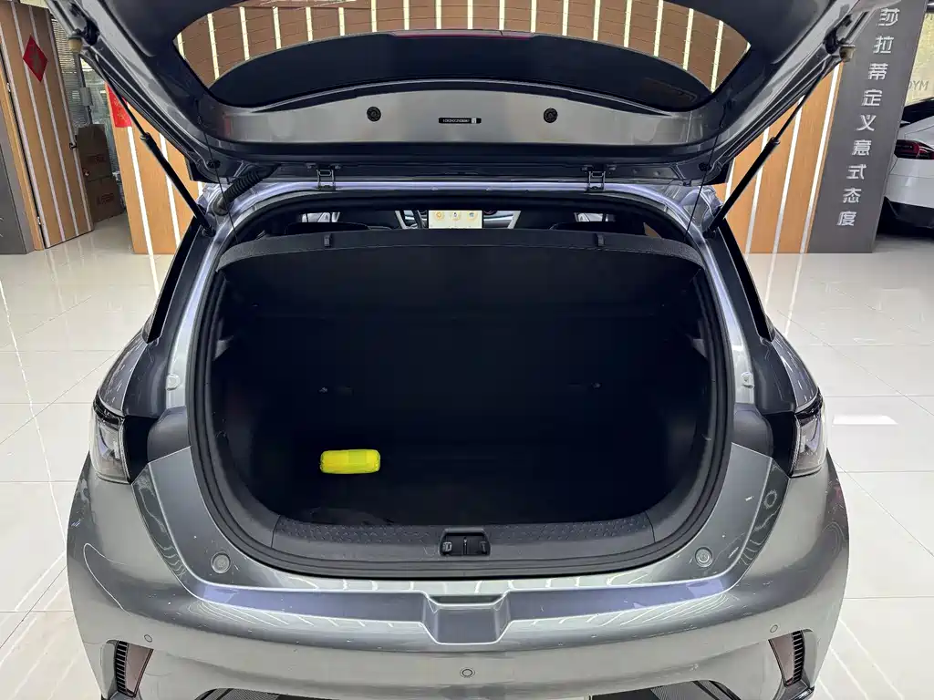 BYD Dolphin — миниатюра 7