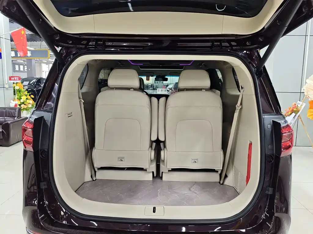 Buick GL8 — миниатюра 17