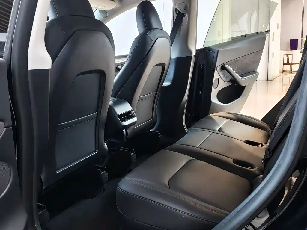 Tesla Model Y — миниатюра 7