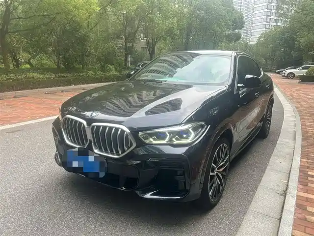 BMW  X6 2022