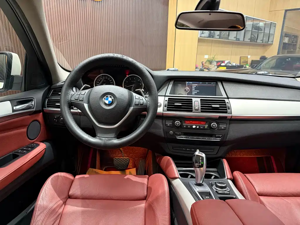 BMW X6 — миниатюра 18